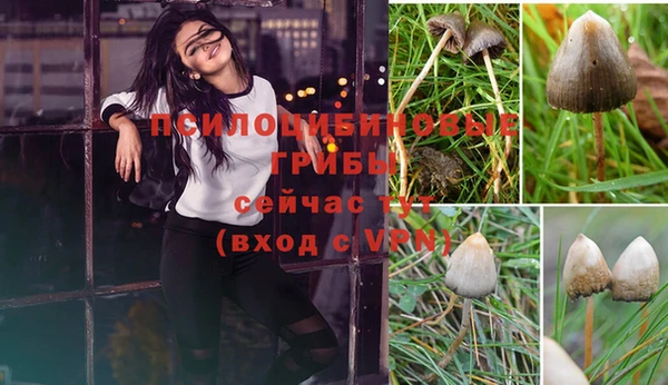 скорость Алексин